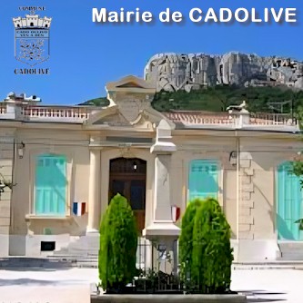cadolive